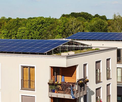 Grafika Budownictwo odpowiedzialne ekologicznie